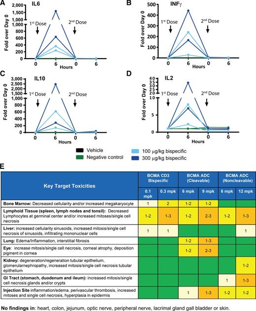 Figure 6. Comparison of toxicologic findings between different BCMA targeting modalities. A–D, BCMA CD3 bispecific treatment induced cytokine release. Cynomolgus monkeys were dosed intravenously with either BCMA CD3 bispecific, NTC, or vehicle on day 1 and day 8, and the serum concentrations of IL6 (A), IFNγ (B), IL10 (C), or IL2 (D) were measured by electrogenerated chemiluminescence (ECL) 6 hours post-dosing. Each animal is plotted individually and colored according to dose (n = 2 animals per group). The vehicle line (black) is directly behind the NTC line (green) and not visible. E, Pathology assessment of cynomolgus monkeys treated with BCMA CD3 bispecific and ADCs revealed decreased lymphocytes or increased single cell necrosis/mitosis in spleen, tonsil, or lymph nodes across all treatment groups, lung and eye toxicity in cleavable ADC treated animals, and kidney and stomach findings in noncleavable ADC treated animals. Color coding represents severity of toxicity as assessed by a board-certified veterinary pathologist on a grading scale of 1 to 5 representing minimal (1), mild (2), moderate (3), marked (4), and severe (5) with the colors representing the highest severity score in the tissue: light yellow = minimal, yellow = mild, orange = moderate and green = no findings relative to control tissues.