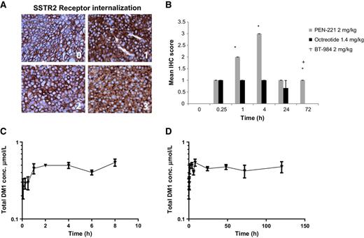 Figure 3. PEN-221 stimulates the internalization of SSTR2 in NCI-H524 xenograft tumors and results in rapid accumulation and sustained retention of PEN-221 in the SSTR2-expressing NCI-H69 xenograft tumors. A, Representative images of SSTR2 receptor internalization in xenograft tumors. The cellular location of SSTR2 was quantitated by the analysis of tumor xenograft sections stained with an anti-SSTR2 antibody. The scoring is dependent upon the localization of the staining and is independent of the intensity: 0: Sharp membranous (no internalization); 1: Hazy membrane, some cytoplasm (minimal internalization); 2: Mix of membrane/cytoplasm (some internalization); 3: Mostly cytoplasmic (extensive internalization), with the score of either 1 or 2 representing intermediate internalization. B, A single dose of each agent was given a time zero and tumors collected and analyzed for SSTR2 location at multiple time points using the scoring system outlined above. PEN-221 compared with BT-984 (negative control) or vehicle *, P < 0.05, PEN-221 compared with octreotide P < 0.05 (+), both using Dunn's multiple comparisons. Error bars represent SEM (n = 3 per arm). BT-984 score was zero throughout the study and octreotide score at 72 hours was zero; therefore, these scores are not visible on the graph. C and D, PEN-221 was dosed at 2 mg/kg and total DM1 was measured in tumors post-dosing at the time points indicated (n = 5 per time point). Error bars represent SD.