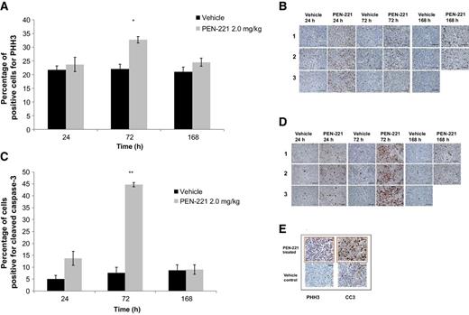 Figure 4. PEN-221 treatment of mice bearing NCI-H69 xenografts results in increased levels of the mitotic arrest marker, pHH3, and the apoptosis marker, CC3, in tumor cells, deep in the core of the xenograft tumors. A, Semiquantitative histological analysis of PHH3 staining of NCI-H69 tumors from treated animals at the indicated post-dose time points. *, P = 0.01 for PEN-221 compared with vehicle (Student t test assuming unequal variance). Error bars represent SEM. (n = 3 per arm except n = 2 for PEN-221 at 168 hours). B, Representative pictures taken at the indicated time points of PHH3 staining of NCI-H69 tumors; brown stain is PHH3-positive staining. C, Semiquantitative histological analysis of CC3 staining of NCI-H69 tumors from treated animals at the indicated post-dose time points. **, P = 0.001 for PEN-221 compared with vehicle treatment (Student t test assuming unequal variance). Error bars represent SEM. (n = 3 per arm except n = 2 for PEN-221 at 168 hours). D, Representative pictures taken at the indicated time points of CC3 staining of NCI-H69 tumors; brown stain is positive CC3 staining. E, Representative staining of tumor samples from the central region of the tumor, for both PHH3 and CC3 from PEN-221 and vehicle-treated NCI-H69 tumor-bearing animals.