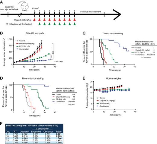 Figure 5. PARPi with radiation is more effective than radiation alone in a SUM-190 xenograft model. SUM-190 cells were subcutaneously injected into CB17-SCID mice, and treatment was started when tumors reached approximately 80 mm3 (A). Olaparib treatment began 1 day before the initiation of radiation treatment and ended on the same day as the last fraction of radiation. With this paradigm, the combination treatment led to delayed growth of tumors (B) and an increased time to tumor doubling (C) and tumor tripling (D; ****, P < 0.0001). The treatment did not display significant toxicities, and animal weights were not significantly different between the treatment groups (E). Using the FTV method, there was a synergistic effect with olaparib and RT treatment to antagonize tumor growth (ratios >1 indicate synergism; F). A 2-way ANOVA was performed to compare tumor volume between experimental groups.