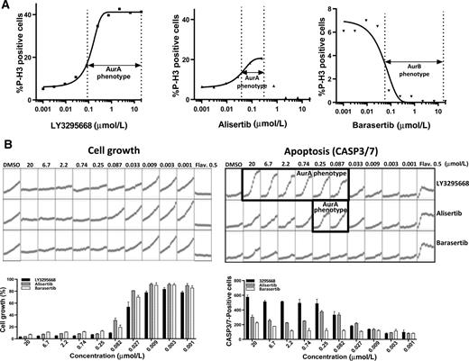 Figure 2. LY3295668 selective Aurora A (AurA) inhibition leads to most significant apoptosis in HeLa cells. A, In comparison of alisertib and barasertib, LY3295668 showed the most persistent Aurora A inhibition–induced mitotic arrest. LY3295668 cell potency is listed in 1C (middle). Alisertib showed Aurora A cell IC50 0.004 ± 0.004 μmol/L (n = 5); Aurora B cell IC50 0.051 ± 0.010 μmol/L (n = 7); and mitotic index (MI; P-H3 increase) IC50 0.066 ± 0.039 μmol/L (n = 7). Barasertib exhibited Aurora A cell IC50 > 20 μmol/L; Aurora B cell IC50 0.011 ± 0.006 μmol/L (n = 11); and mitotic index (MI; P-H3 increase) IC50 = 0.022 ± 0.007 μmol/L (n = 4). B, LY3295668, alisertib and barasertib cell proliferation inhibition (left), and apoptosis induction (CASP3/7, right) in IncuCyte assay. Each square represents the cell confluency or the Caspase 3/7–positive green dot numbers (y-axis) in the cell culture well from 0 to 48 hours (x-axis). The percentage of cell growth or apoptosis-positive cell numbers is plotted below.