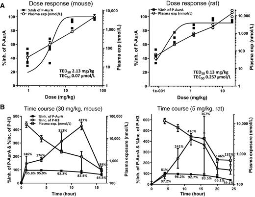 Figure 5. LY3295668 inhibits Aurora A in vivo. A, In mouse and rat NCI-H446 xenograft models, animals were treated with LY3295668 at indicated doses for 3 hours. Aurora A P-Thr288 inhibition in tumors ( y-axis at left) and compound exposure in animal plasma ( y-axis on right) were measured. B, Animals were treated with LY3295668 once. At indicated time points, tumor and plasma samples were collected for Aurora A P-Thr288, P-H3 ( and , y-axis on left), and compound exposure ( y-axis on right). TED50, threshold effective dose (dose that produces an effect that equals to 50% P-Aurora A inhibition). TEC50, threshold effective concentration (plasma concentration that produces an effect that equals to 50% P-Aurora A inhibition).