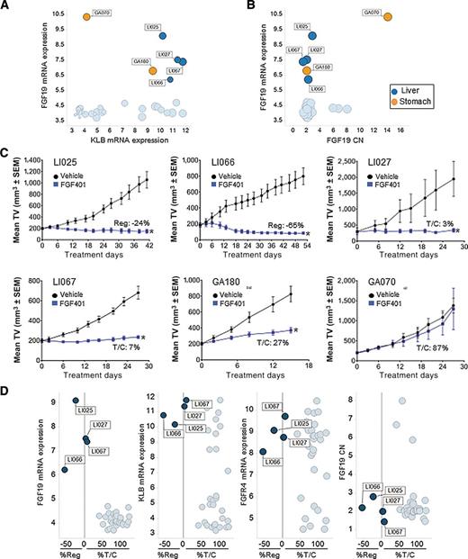 Figure 6. Antitumor activity of FGF401 in a panel of 38 PDXs. A and B, Scatter plots showing the distribution of PDX samples according to KLB and FGF19 transcript expression (A) and FGF19 copy number (CN) versus FGF19 transcript (B). Color coding in A and B indicates primary site. Symbol size in A indicates FGFR4 transcript expression. C, Response to FGF401 (100 mg/kg orally twice daily) over time of four HCC PDXs and two gastric cancer PDXs (Li, liver lineage; GA, gastric lineage). Values are mean ± SEM, n = 3–4 mice per group. *, P < 0.05 (unpaired t test). D, Scatter plots illustrating the relationship between FGF401 response in HCC PDXs [expressed as % T/C or % regression (Reg)] and FGF19 expression, KLB expression, FGFR4 expression, or FGF19 copy number. The HCC PDXs that respond to FGF401 are highlighted. TV, tumor volume.