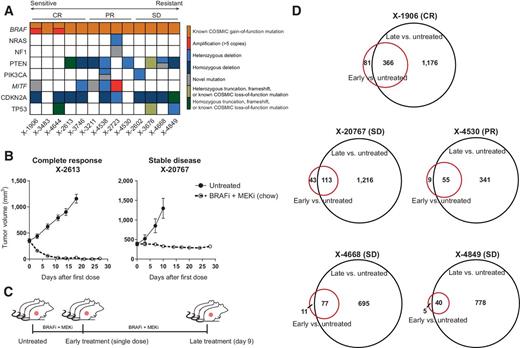 Figure 1. Description and transcriptome analysis of BRAFV600-mutant melanoma PDXs. A, Genetic features of BRAFV600-mutant melanoma models in the Novartis PDX collection, arranged in order of their best average response to encorafenib and binimetinib as published in Gao et al. (18). B, Representative efficacy studies showing examples of complete response (X-2613) and SD (X-20767), upon continuous treatment with encorafenib and binimetinib for 28 days. C, Schematic of sample collection from mice treated with encorafenib and binimetinib. Samples were harvested from tumor-bearing mice (n = 3) at baseline, 8 hours post the first dose, and 8 hours post the last dose after 9 days of continuous dosing. D, Venn diagrams showing genes that were differentially expressed after a single dose or 9 days of treatment, relative to the untreated controls for each PDX model. The cutoff for differential gene-expression analysis was log2 fold change > |1.5| and P value < 1.05.