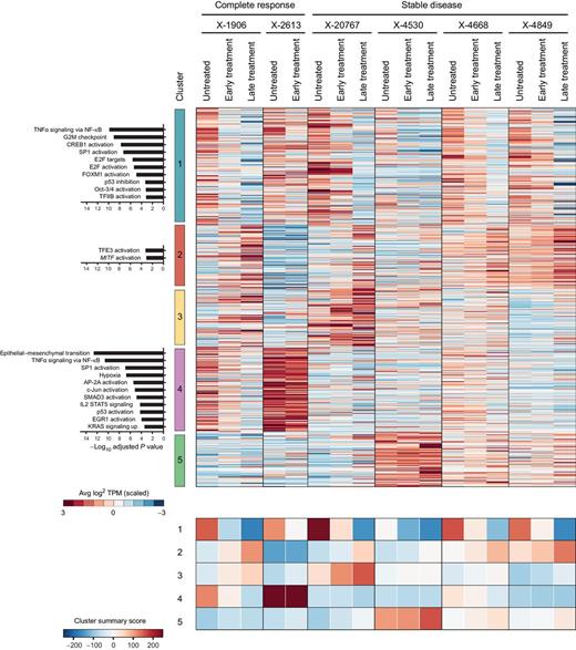 Figure 2. Unsupervised clustering of pre- and on-treatment melanoma PDX models. Heatmap displays unsupervised clustering results using 1,000 most variable DEGs across all treatment-matched samples. Left, gene set enrichment results. Bottom, summary scores for the clusters, calculated as the sum of z-transformed, normalized expression values.