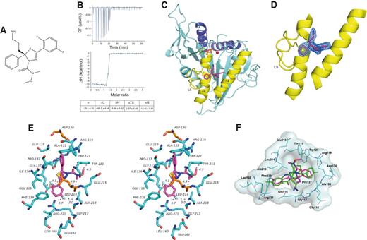 Figure 1. Structure of the Eg5–Arry-520 complex. A, Chemical structure of Arry-520. B, Raw data (top) and integrated data (bottom) from ITC measurements demonstrating high picomolar affinity and exothermic reaction upon sequential additions of Arry-520 to Eg5. C, Overall structure of the ternary Mg2+ADP–Eg5–Arry-520 complex showing the front view of the Eg5 motor domain with bound Mg2+ (red), ADP (green/orange), and Arry-520 (magenta). D, Magnification of the allosteric-binding pocket of Eg5 (yellow) composed of helix α2, loop L5, and helix α3 with Arry-520 (magenta) and the electron density omit map (colored in blue) contoured at 3σ. E, Stereo plot of Arry-520 (magenta) and surrounding residues of the inhibitor-binding pocket (colored in cyan). F, Comparison of the distinct binding modes of Arry-520 (magenta) and ispinesib (green); the protein surface is displayed semitransparently.