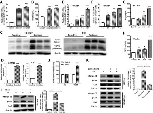 Figure 6. Integrin β3/FAK signaling was activated by TGFβ1. A and B, TGFβ1 levels in resistant cells (HCC827GR and HCC827OR) compared with those in sensitive parental cells (HCC827) were examined by quantitative RT-qPCR analysis (A) and ELISA assay (B). C and D, TGFβ1 levels in gefitinib-resistant xenograft tumors compared with those in the respective gefitinib-sensitive xenograft tumors were examined by Western blot (C) and quantitative RT-qPCR (D) assays. E and F, Quantitative RT-PCR analysis of TGFβ1 levels in HCC827 cells treated with 50 nmol/L gefitinib (E) or 100 nmol/L osimertinib (F) for the indicated times. G and H, ELISA assay of TGFβ1 levels in HCC827 cells treated with 50 nmol/L gefitinib (G) or 100 nmol/L osimertinib (H) for the indicated times. I, HCC827 cells were pretreated with 2 μmol/L SB-431542 for 1 hour prior to 10 ng/mL TGFβ1 treatment for 48 hours. Western blot analysis of integrin β3, pFAK (Tyr397), and FAK levels (left) and quantitative RT-qPCR analysis of integrin β3 (right). J, Luciferase activity of HEK293 cells cotransfected with pRL-SV40 and pGL3-ITGB3 (ITGB3) or pGL3-NC (NC) in the presence or absence of 10 ng/mL TGFβ1 for 48 hours. K, HCC827 and HCC827OR cells were pretreated with 2 μmol/L SB-431542 for 1 hour prior to 100 nmol/L osimertinib treatment for 48 hours. Western blot analysis of integrin β3, pFAK (Tyr397), and FAK levels in HCC827 (top left) and HCC827OR cells (bottom left) and quantitative RT-qPCR analysis of integrin β3 in HCC827 cells (right). β-Actin was used as a loading control for Western blot. The data are presented as the means ± SEM. Student t test was used. *, P < 0.05; **, P < 0.01; ***, P < 0.001.