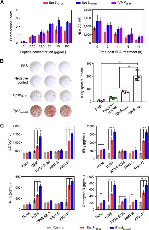 Figure 2. HLA-A2–specific binding affinity and stability of Eps8 cocktail peptides and the induction of functional T cells in HLA-A2.1/Kb transgenic mice. A, HLA-A2–binding capacity and stability of Eps8 cocktail peptides. Various concentrations of peptides were analyzed for binding to T2 cells, as described in the Materials and Methods. Influenza virus matrix protein 58-66 (IVMP58-66; GILGFVFTL) was used as an HLA-A2–specific positive control peptide. B, Representative ELISPOT assays for IFNγ performed with splenic lymphocytes obtained from Eps8 peptide cocktail-immunized HLA-A2.1/Kb transgenic mice. Eps8327-335 (EFLDCFQKF) was used as an HLA-A24–specific negative control peptide. The number of IFNγ spots obtained is shown for each animal (n = 3). C, IL2, TNFα, IFNγ, and granzyme B secretion by Eps8cocktail-CTLs measured by ELISA in culture supernatants collected 1 day following stimulation with different multiple myeloma cell lines. The data shown are representative of three experiments. Data are shown as the mean ± SD. Significance is indicated as *, P < 0.05, **, P < 0.01, and ***, P < 0.001.