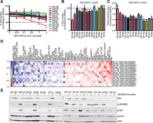 Figure 2. Sensitivity and proteomic adaptive response to MEK inhibition in HGSOC PDX models in vitro. A, Five-point dose-response curves of 14 HGSOC PDX ascites cells treated with increasing concentrations of GDC-0973 for 96 hours in vitro. Cell number was measured by luciferase assay and data were normalized to DMSO control. Each data point represents mean ± SEM of three independent experiments. Each experiment was performed with six technical replicates. B, Relative cell number of all the PDX ascites cells treated with 1 μmol/L GDC-0973 for 96 hours. Data were derived from dose-response curves in A. C, Analysis of cell death induced by 1 μmol/L of GDC-0973 drug combination 96 hours after drug exposure. Dead cells were detected by staining with NucGreen dye (Invitrogen) and cells were counted using laser scanning cytometry. Data are representative of two independent experiments, and error bars are SEM (n = 4 wells). D, PDX ascites cells were treated with 0.5 μmol/L GDC-0973 for 48 hours in vitro, and protein lysates were harvested and analyzed by RPPA. The heat map shows the proteins with the largest fold increases (red) or decreases (blue) relative to DMSO after treatment with GDC-0973 across all 14 PDX samples. Data are mean log2-transformed values for three technical replicates, representative of two independent experiments. E, Western blot of BIM, p-BimS69, pERK, and total ERK levels in protein lysates from PDX ascites cells treated with either vehicle (DMSO) or 0.5 μmol/L GDC-0973 for 48 hours. Actin was used as a loading control.