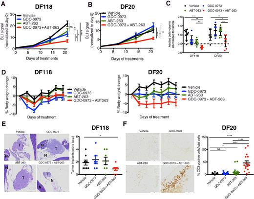 Figure 4. Combination of MEK and BCL-2/XL inhibition reduces tumor burden compared with single agents in HGSOC PDX models in vivo. A and B, Tumor growth curves determined by BLI of two PDX models, DF118 (A) and DF20 (B), treated with GDC-0973 (7.5 mg/kg QD) and ABT-263 (100 mg/kg QD) alone or in combination for 21 days. n = 8 mice per treatment arm. Data are normalized to BLI signal before treatment (day 0). Error bars, SEM. Statistical significance assessed with unpaired two-tailed t test: *, P ≤ 0.02; **, P < 0.02; ****, P < 0.0001. C, Analysis of endpoint (day 21) ascites volume of the two PDX models. Data are normalized to vehicle control mice. Error bars, SEM. n = 8 per treatment arm. Statistical significance assessed with an unpaired two-tailed t test: *, P < 0.04; **, P < 0.004; ***, P < 0.002. D, Changes in animal body weight for each treatment group (n = 8 per group; error bars are SEM). E, Representative histologic images of solid tumor implants in the abdominal cavity of mice implanted with the DF118 PDX model (left). T = tumors; N = normal mouse tissues. Scale bar, 500 μm. Blinded quantification of solid tumor implants (right) was performed by a pathologist. A score was assigned to each tumor implant, and the presence of circulating tumor cells in the peritoneal cavity was also noted. The scoring method is described in Materials and Methods. Briefly, a score was assigned to each tumor based on the size of the tumor: 1 for small, 2 for medium and 3 for large tumor. A score of 1 was assigned also in the case of tumor cell aggregates visible in the section. Statistical significance was assessed with an unpaired two-tailed t test: *, P < 0.05. F, Representative cleaved caspase-3 (CC3) IHC images of tumor implants from the DF20 PDX model (left). Scale bar, 200 μm. Quantification of CC3 staining (right) performed as indicated in Materials and Methods section. Error bars represent SEM across at least 20 locations within tumor implants from three mice per treatment group. Statistical significance assessed with an unpaired two-tailed t test: *, P < 0.02; ****, P < 0.0001.