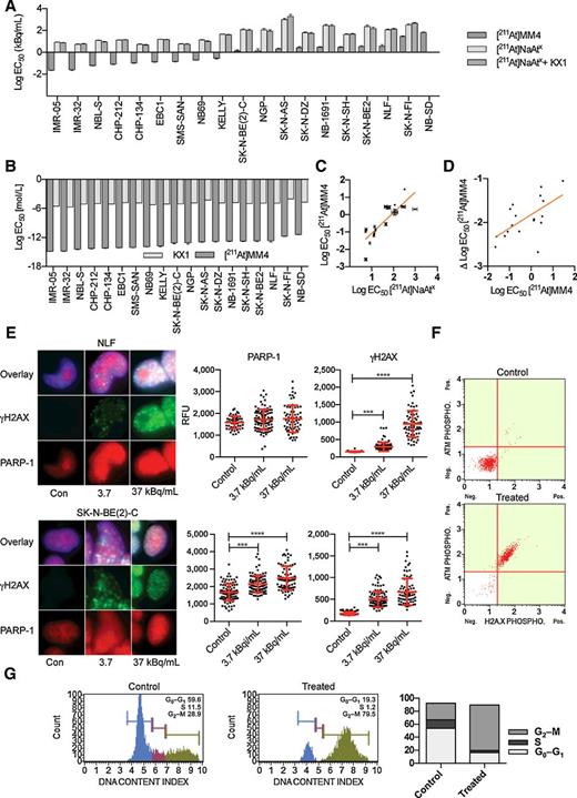 Figure 2. In vitro studies evaluating [211At]MM4 cytotoxicity and DNA damage in neuroblastoma cell lines. A, Waterfall plot of EC50 values for a panel of 19 neuroblastoma cell lines that were used to test the in vitro cytotoxicity of [211At]MM4 versus controls: free astatine-211 ([211At]NaAtx), and [211At]NaAtx with nonradioactive analogue PARPi KX1 (ANOVA P < 0.0001 for [211At]MM4 vs. controls in all cell lines). B, The comparison of EC50 values in molar units for [211At]MM4 versus KX1 (ANOVA P < 0.0001 for all cell lines). C, Neuroblastoma cell line radiosensitivity correlation between [211At]MM4 and [211At]NaAtx (linear regression R2 = 0.708, P < 0.0001 for nonzero slope). D, Neuroblastoma cell line radiosensitivity correlation between [211At]MM4 and [211At]MM4 normalized with [211At]NaAtx (linear regression R2 = 0.400, P < 0.0033 for nonzero slope). E, Immunofluorescence of γH2AX and PARP-1 after 24 hours treatment with [211At]MM4. PARP-1 was increased (t test, P < 0.001) in SK-N-BE(2)-C cells, and both cell lines showed increased γH2AX (t test, P < 0.001). F, NLF cells treated with [211At]MM4 were analyzed by flow cytometry for ATM and H2AX phosphorylation. There was a 98% increase in ATM and H2AX phosphorylation in treated cells from control indicating double-strand DNA breaks were the major form of DNA damage. G, Cell-cycle analysis of NLF–treated cells showed accumulation at the G2–M boundary.