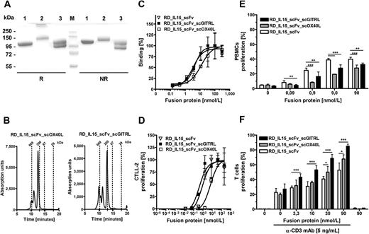 Figure 3. Characterization of RD_IL15_scFv_scOX40L and RD_IL15_scFv_scGITRL. A, 10% SDS-PAGE analysis of RD_IL15_scFvFAP_sc4-1BBL (1), RD_IL15_scFvFAP_scOX40L (2), and RD_IL15_scFvFAP_scGITRL (3) with 3 μg/protein/lane under reducing (R) and nonreducing (NR) conditions and Coomassie staining. B, Size-exclusion chromatography analysis of the fusion proteins by Yarra SEC-3000 column. C, Antibody-mediated binding analysis on B16-FAP cells by flow cytometry. Detection via anti-hexahistidyl-tag-PE mAb. D, IL15 activity of soluble fusion proteins. CTLL-2 cells were incubated with the fusion proteins for 3 days and proliferation determined by MTT-assay. E, Activity of soluble trifunctional antibody-fusion proteins on PBMC proliferation. CFSE-labeled PBMC were incubated for 6 days with the antibody-fusion proteins, followed by flow cytometry analysis. F, Activity of target-bound trifunctional antibody-fusion proteins on T-cell proliferation. B16-FAP cells were incubated for 1 hour with the antibody-fusion proteins, followed by washing and addition of cross-linked anti-CD3 mAb and CFSE-labeled PBMCs. After 6 days of coculture, proliferation was measured by flow cytometry. Graphics show mean ± SD, n = 3. *, P < 0.05; **, P < 0.01; ***, P < 0.001.