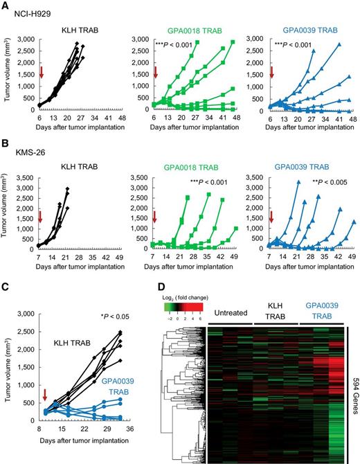 Figure 5. Antitumor activity of GPRC5D TRABs against multiple myeloma in mouse models. A, Antitumor activity of GPA0018 TRAB, GPA0039 TRAB, or KLH TRAB against NCI-H929 tumors in NOD-SCID mouse inoculated with human T cells. Black lines indicate KLH TRAB, green lines indicate GPA0018 TRAB, and blue lines indicate GPA0039 TRAB. Arrows indicate timing of TRAB administration. Parametric Dunnett test: ***, P < 0.001, versus KLH TRAB treatment at day 25. B, Antitumor activity of GPA0018 TRAB, GPA0039 TRAB, or KLH TRAB against KMS-26 tumors in NOD-SCID mice inoculated with human T cells. Black lines indicate KLH TRAB, green lines indicate GPA0018 TRAB, and blue lines indicate GPA0039 TRAB. Arrows indicate timing of TRAB administration. Parametric Dunnett test: ***, P < 0.001; **, P < 0.005, versus KLH TRAB treatment at day 18. C, Antitumor activity of GPA0039 TRAB or KLH TRAB against NCI-H929 in a humanized mouse model. Black lines indicate KLH TRAB, and blue lines indicate GPA0039 TRAB. Arrows indicate timing of TRAB administration. Wilcoxon test: *, P < 0.05, versus KLH TRAB treatment at day 33. D, Gene expression analysis in NCI-H929 tumors in a humanized mouse model. RNA from untreated tumors and tumors treated with KLH TRAB or GPA0039 TRAB were used for nCounter gene expression assay. Each group was tested in triplicate (n = 3). Heatmap shows changes in the expression of each gene (log-ratio to median value of untreated samples).