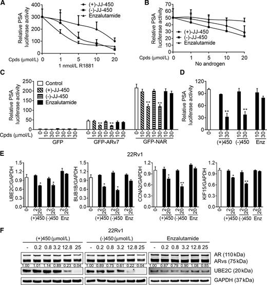 Figure 3. JJ-450 inhibits LBD-independent transcriptional activity of AR. ARv7-positive 22Rv1 cells were transiently cotransfected with pPSA6.1-Luc and pRL-TK reporter vectors in cFBS, phenol red–free RPMI medium for 24 hours and then treated with indicated concentrations of (+)-JJ-450, (−)-JJ-450, or enzalutamide in the presence (A) or absence (B) of R1881 for additional 24 hours prior to luciferase assays. C, C4-2 cells were transiently transfected with pPSA6.1-Luc and pRL-TK reporter vectors, together with GFP, GFP-ARv7, or GFP-NAR (mutant AR lacking LBD) expression vectors for 24 hours in cFBS, phenol red–free RPMI medium, and then treated with indicated concentrations of (+)-JJ-450, (−)-JJ-450, or enzalutamide for additional 24 hours under androgen-depleted condition before luciferase assays. Parallel Western blot data were showed in Supplementary Fig. S5A. D, GFP-ARv7:PC3, a PC3 subline stably transfected GFP-ARv7 expression vector (28), was transiently cotransfected with pPSA6.1-Luc and pRL-TK reporter vectors for 14 hours in cFBS, phenol red–free RPMI medium, and then treated with indicated concentrations of (+)-JJ-450, (−)-JJ-450, or enzalutamide for additional 24 hours before luciferase assays. 22Rv1 cells were cultured in cFBS, phenol red–free RPMI medium for 24 hours, and then treated with indicated concentrations of (+)-JJ-450, (−)-JJ-450, or enzalutamide for additional 24 hours prior to qRT-PCR (E) or immunoblotting analysis (F). UBE2C protein expression was quantified relative to GAPDH for each lane using Image lab (Bio-Rad). The same experiment was also performed using another cell line CWR-R1 (Supplementary Fig. S5B). Results represent mean ± SD and are representative of at least three biological replicates (*, P < 0.05 and **, P < 0.01).