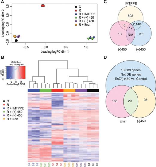 Figure 5. (−)-JJ-450 inhibits AR-dependent transcriptome specifically. RNA-seq analysis was performed to determine the effect IMTPPE, (−)-JJ-450, (+)-JJ-450, and enzalutamide on R1881-induced transcriptome in cultured LNCaP cells. Differentially expressed genes were defined as those showing absolute FC ≥2 and FDR ≤ 0.05. R, R1881; (+)450, (+)-JJ-450; (−)450, (−)-JJ-450; Enz, Enzalutamide. A, MDS analysis of the whole gene expression program. B, Heatmap of the whole gene expression program. Heatmap of selected 25 androgen-responsive genes was provided in Supplementary Fig. S7. C, Venn diagram analysis of DE genes among three groups: enzalutamide versus IMTPPE, enzalutamide versus. (+)-JJ-450, and enzalutamide versus (−)-JJ-450. More details are provided in Supplementary Table S2. D, Venn diagram analysis of genes expression between two groups: control versus enzalutamide and control versus (−)-JJ-450. More details are provided in Supplementary Table S3. Experiments were performed on three biological replicates for each group.