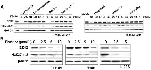 Figure 1. Ebastine decreases EZH2 protein and H3K27 methylation in cancer. A, MDA-MB-231 cells were treated with astemizole, chlorpheniramine, ebastine, fexofenadine, and haloperidol at different doses. After 72 hours, total cell lysates were blotted for EZH2 and H3K27me3, with GAPDH as a loading control. B, DU145, H146, and L126 cells were treated with ebastine at different doses for 72 hours and lysed for immunoblot analysis. β-actin served as a loading control.