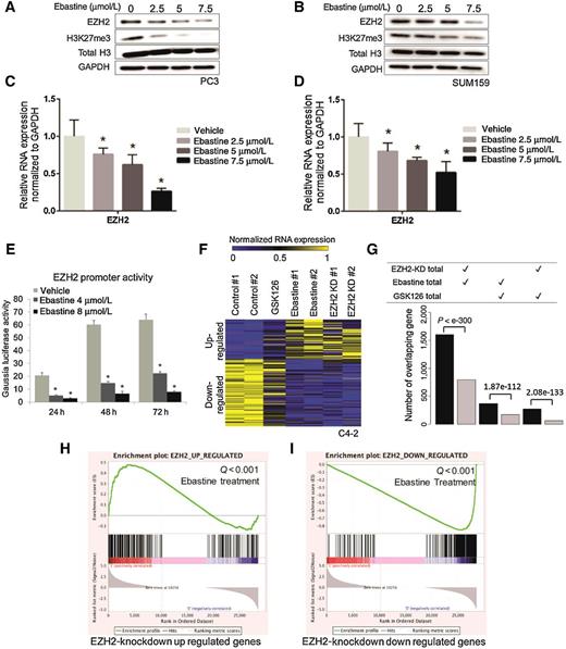 Figure 2. Ebastine decreases EZH2 transcript levels by regulating EZH2 promoter activities. PC3 cells (A) and SUM159 (B) treated with ebastine for 72 hours were lysed and blotted for EZH2 and H3K27me3, with H3 and GAPDH as a loading control. RNA was extracted from PC3 cells (C) and SUM159 (D) treated with ebastine for 72 hours and quantified using RT-qPCR. The relative expression of EZH2 was normalized by GAPDH. *, P < 0.05 versus vehicle, mean ± SEM. E, C4-2 cells were cotransfected with a secreted Gaussia luciferase reporter containing EZH2 upstream promoter and a SEAP reporter. The SEAP group acted as an internal control. Ebastine treatment was performed for 24, 48, or 72 hours. F, Heatmap for the expression level of genes down- or upregulated by EZH2 KD, GSK126 (8 μmol/L), or ebastine (8 μmol/L) treatment. G, The number of overlapped differential genes between EZH2-KD and ebastine-treated group was significantly larger than the number of genes overlapped by GSK126-treated versus EZH2-KD or ebastine-treated group. GSEA of ebastine-targeted genes that were significantly enriched by genes upregulated after EZH2 KD (Q value < 0.001; H) or downregulated after EZH2 KD (Q value < 0.001; I).