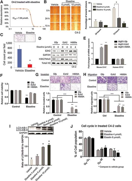 Figure 3. Ebastine has potent therapeutic effects on prostate cancer. A, Growth curve of C4-2 cells treated with ebastine at different concentrations to determine the IC50. B, Migration images of C4-2 cells treated with ebastine and vehicle at 0, 24, and 72 hours. The percentage of closure was calculated by dividing the width of 0 hour. *, P < 0.05 versus vehicle, mean ± SEM. C, Invasion assay using transwell insert and Matrigel to assess the invasiveness of C4-2 cells after ebastine treatment. Cell count was analyzed in the bottom panel. **, P < 0.01 versus vehicle, mean ± SEM. EZH2 rescue assay in C4-2 cells for protein level (D), mRNA level (E), growth (F), invasion (G), and migration (H). I, C4-2 cells treated with ebastine for 48 hours were lysed and blotted with anti-LC3-A/B antibody, and presented as the ratio of LC3-A/B-II/I to GAPDH. J, Cell-cycle distribution of C4-2 cells treated with ebastine and vehicle.
