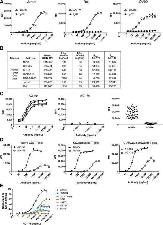 Figure 1. AO-176 binding to human tumor and normal cells. A, Binding of AO-176 to Jurkat T-ALL, Raji B lymphoma, and OV90 ovarian carcinoma cells was determined by flow cytometry. B, Tabulated tumor cell binding, receptor number (RN), and Bmax of tumor lines was determined using AO-176 and AO-104. C, Binding of AO-176 and AO-104 to freshly isolated RBCs from healthy donors (left, n = 6; right, Bmax comparison of 48 donors from binding performed up to 10 and 200 μg/mL for AO-104 and AO-176, respectively). D, Binding of AO-176 and AO-104 to naïve CD3 T cells or anti-CD3 activated T cells or anti-CD3/CD28 (3 days activated). E, Comparison of binding of AO-176 to Jurkat tumor cells and normal cells with reduced binding to human activated platelets, naïve CD3+ T cells, RBCs, human aortic endothelial cells (HAEC), human skeletal muscle cells (SkMc), and human RPTEC.