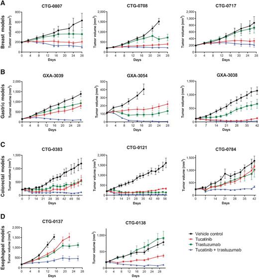 Preclinical Activity of HER2Selective Tyrosine Kinase Inhibitor