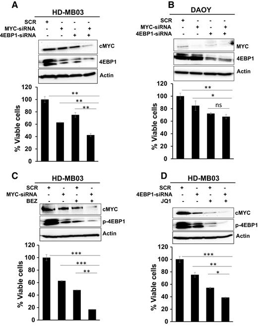 A Novel Combination Approach Targeting an Enhanced Protein Synthesis ...