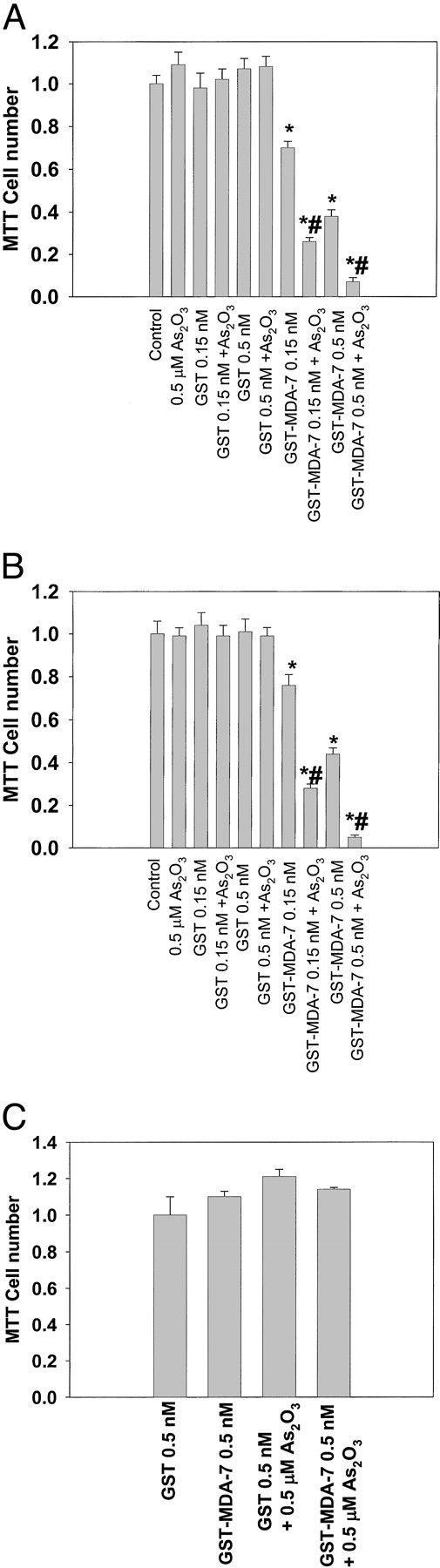 Fig. 5. GST-MDA-7 and arsenic trioxide interact in a greater than additive fashion to reduce renal carcinoma cell growth. Cells were plated in 12-well plates (∼1 × 104 cells/well) and 24 h later treated with increasing concentrations of GST, GST-MDA-7, and As2O3 (0.5 μm) as indicated. Cell growth was determined via MTT assay 96 h after GST-MDA-7 treatment. Data are the means of 12 wells (one plate per condition, ±SE) from a representative experiment using different preparations of GST and GST-MDA-7 (n = 3). A, UOK121N cells; B, A498 cells; C, primary renal epithelial cells. *P < 0.05 less than GST value cells; #P < 0.05 less than corresponding GST-MDA-7 value without As2O3 cotreatment.