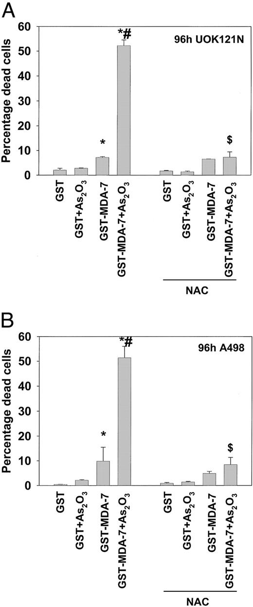 Fig. 6. GST-MDA-7 and arsenic trioxide interact in a greater than additive fashion to enhance renal carcinoma killing that is blocked by the free radical scavenger N-acetyl cysteine. Cells were plated in 6-well plates (∼5 × 104 cells/well) and 24 h later treated with GST, GST-MDA-7 (both 0.5 nm), and As2O3 (0.5 μm) as indicated. Where indicated, cells were pretreated with 10 mm N-acetyl cysteine (NAC) 1 h before the addition of As2O3. Cells were isolated 96 h after GST-MDA-7 treatment. Cell death was determined on isolated fixed cells by Giemsa staining for apoptosis and necrosis (presented as a single value) as described (30). Data are the means of six wells (one plate per condition, ±SE) from a representative experiment using different preparations of GST and GST-MDA-7 (n = 3). *P < 0.05 greater than GST value cells; #P < 0.05 greater than corresponding GST-MDA-7 value without As2O3 cotreatment; $P < 0.05 less than value in cells not incubated with NAC.