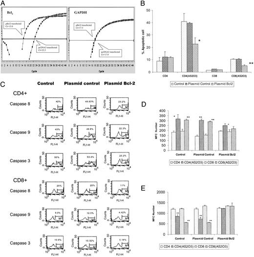 Fig. 6. Effect of overexpression of Bcl-2 on As2O3-induced apoptosis, activation of caspases, levels of ROS, and on Δψm. A is a representative amplification of real-time RT-PCR for mRNA transcripts of bcl-2 and glyceraldehyde-3-phosphate dehydrogenase in T cells transfected with bcl-2 expression plasmid (pBcl) or control plasmid (pcDNA3). The cycle numbers in the logarithmic phase of amplification (Ct values) were 15.0 or 22.5 for bcl-2 mRNA in the cells transfected with pBcl2 or pcDNA, indicating that cells transfected with bcl-2 expression plasmid expressed 27.5 times more bcl-2 mRNA than cells transfected with control plasmid. Decrease of 1 Ct value means a 2-fold increase in mRNA amount. Bcl-2 overexpression inhibited As2O3-induced apoptosis (B; ∗, P < 0.05; ∗∗, P < 0.005), As2O3-induced caspase activation (C), As2O3-induced depolarization of mitochondrial membrane (D), and As2O3-induced enhancement of ROS (E).