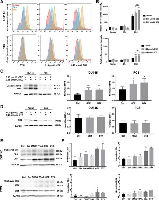 Figure 4. Taxane pretreatment increases death receptor expression. A, Representative histograms of death receptor expression using flow cytometry. B, Mean fluorescent intensity of DR4 and DR5 compared with isotype control. C, Western blot analysis and relative expression of DR5 in DU145 and PC3 cells treated with 0.25 μmol/L cabazitaxel (CBZ) or docetaxel (DTX). D, Representative Western blot and relative expression of DR4 in DU145 and PC3 cells treated with 0.25 μmol/L cabazitaxel or docetaxel. E, Western blot analysis of death receptor expression in siCHOP-knockdown DU145 and PC3 cells treated with DMSO, TRAIL, cabazitaxel or docetaxel. F, Relative death receptor expression in siCHOP-knockdown DU145 and PC3 cells treated with DMSO, TRAIL, cabazitaxel, or docetaxel. The values represent the mean ± SD (n = 6). *, P < 0.05; **, P < 0.01; ***, P ≤ 0.005; ****, P < 0.0001.