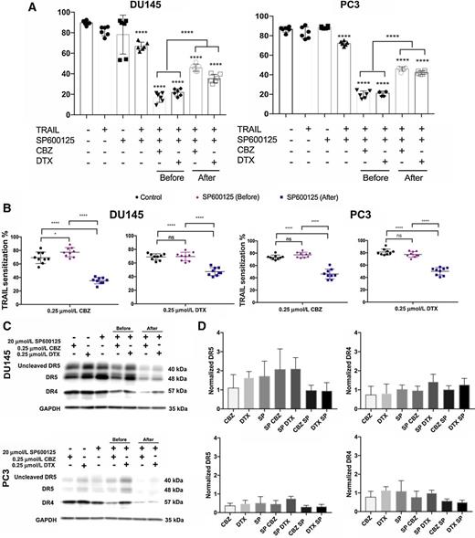 Figure 5. JNK activation is significant in ER stress–related apoptosis and death receptor regulation. A, Cell viability of DU145 and PC3 cells after pre- and posttreatement with 20 μmol/L SP600125 (JNK inhibitor). B, TRAIL sensitization of DU145 and PC3 cells cells treated with JNK inhibitor before or after taxane (0.25 μmol/L) therapy followed by TRAIL treatment. C, Western blot analysis of death receptor expression in DU145 and PC3 cells treated with either cabazitaxel (CBZ), docetaxel (DTX), and JNK inhibitor alone or in combination. Cells were also treated with the JNK inhibitor before or after taxane exposure. D, Relative death receptor expression in DU145 and PC3 cells treated with either cabazitaxel, docetaxel, and JNK inhibitor alone or in combination. Cells were also treated with the JNK inhibitor before or after taxane exposure. The values represent the mean ± SD (n = 6 or 9). *, P < 0.05; ****, P < 0.0001.
