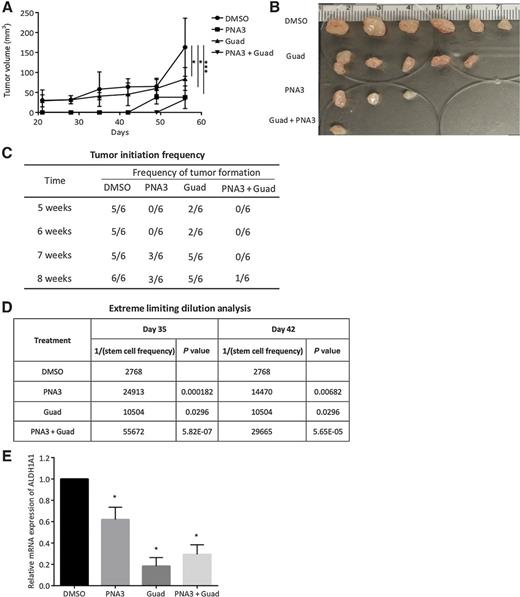 Figure 4. Inhibiting HOTAIR and DNMT blocks ovarian tumor initiation. A, Xenograft tumor growth curve of different treatment groups. OVCAR3 sorted ALDH+ cells were treated with guadecitabine alone or with PNA3. A total of 5,000 cells were injected subcutaneously into mice. B, Images of tumors collected at end of study. C, Quantification of tumor-formation in mice. D, Stem cell frequency estimates were calculated using Extreme Limiting Dilution Assay software.