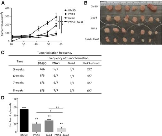 Figure 5. Effect of inhibiting HOTAIR and DNMT on ovarian tumors initiated with 20,000 OVCAR3 cells. A, Xenograft tumor growth curve of different treatment groups. OVCAR3 sorted ALDH+ cells were treated with guadecitabine alone or with PNA3. A total of 20,000 ALDH+ cells were injected subcutaneously into mice. B, Images of tumors collected at end of study. C, Quantification of tumor formation in mice. D, Quantification of spheroid formation by tumor cells collected from mice at end of study. Data are presented as mean ± SEM with P < 0.05 (*), P < 0.01 (**), and P < 0.005 (***).
