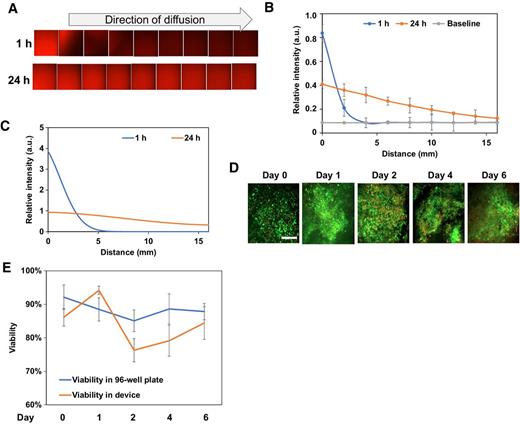 Figure 2. Diffusion profiles and cell viability in our ECM-based systems. A, A doxorubicin diffusion profile was captured through confocal microscopy imaging of doxorubicin fluorescent intensity at 1 and 24 hours. B, Quantification of doxorubicin diffusion for 1 and 24 hours. The gray line was the baseline fluorescence intensity without the presence of doxorubicin. C, 1D simulation of doxorubicin diffusion profile generated by applying the diffusion coefficient of doxorubicin from literature data. The simulation was similar to experimental results for the 1- and 24-hour diffusion profiles. D, Viability tests for tumor samples cultured in 96-well plates and in our ECM tumor-on-a-chip device. E, Live/dead staining of tumor samples from day 0 to day 6, in 96-well plates and in our device. Scale bar, 200 μm.