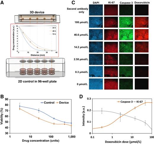 Figure 3. Tumor-on-a-chip response to single drug exposure. A, 3D devices versus 2D controls setup. Top: five tumors were inserted in series into the system. Middle: simulation of drug diffusion profile for 24, 48, and 72 hours. Bottom: In a 2D control, tumors were cultured in 96-well plates and treated directly with constant drug doses equal to the drug dose in the 3D device at 48 hours. B, Doxorubicin drug screening results for the device and control. Note that both presented similar trends, yet the absolute drug effect was different. For doxorubicin, 1,000 units = 100 μmol/L. Experiments were done in triplicates. C, Immunofluorescent staining for DAPI, Ki-67, and caspase-3, and autofluorescence of doxorubicin, in tumor samples treated with doxorubicin. Expression of caspase-3 increased and Ki-67 decreased with higher dosing, which agreed with the live/dead staining results. All images are 700 × 700 μm. D, Quantification of immunofluorescent staining intensity of caspase-3 and Ki-67. The lines are polynomial interpolations.