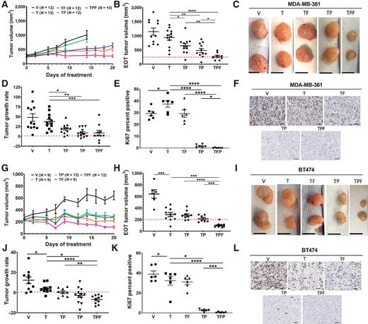 Figure 2. Triple combination therapy reduces HR+/HER2+ tumor growth in vivo. MDA-MB-361 xenografts (N = 10–12 tumors per group) and BT474 xenografts (N = 9–12 tumors per group) were treated with vehicle (V), tucatinib (T) or combinations of tucatinib, fulvestrant (F), and palbociclib (P). Results shown for MDA-MB-361 xenografts: A, Tumor growth curves; B, Tumor volumes at end of treatment (EOT); C, Representative tumors at study completion (scale bar, 5 mm); D, Tumor growth rates (TGR; change in tumor volume over time) for each treatment group; (E) Ki67 analysis and (F) Images of representative Ki67 staining (scale bar, 25 μm). Results of BT474 xenografts are shown: G, Tumor growth curves; H, BT474 tumor volumes at EOT; I, Representative tumors from each treatment group at study completion (scale bar, 5 mm); J, TGRs; K, Ki67 analysis and (L) Images of representative Ki67 staining scale bar, 25 μm. All data are mean ± SEM. For B, D, E, H, J, and K overall differences are significant with P < 0.0001 by ANOVA; *, P < 0.05; **, P < 0.01; ***, P < 0.005; and ****, P < 0.001 by the two-sided t test
