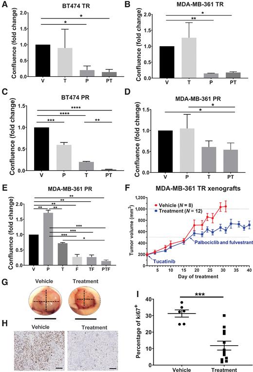 Figure 3. HR+/HER2+ subclones resistant to tucatinib or palbociclib are sensitive to other agent in triple combination. Clonogenic survival of (A) BT474 and (B) MDA-MB-361 tucatinib-resistant (TR) subclones treated with vehicle (V), 0.67 μmol/L tucatinib (T), and/or 3 μmol/L palbociclib (P). Clonogenic survival of (C) BT474 and (D) MDA-MB-361 palbociclib-resistant (PR) subclones treated with vehicle, 10 μmol/L palbociclib, and 0.25 μmol/L (BT474) or 1.75 μmol/L (MDA-MB-361) tucatinib. E, Clonogenic survival of MDA-MB-361 PR subclones treated with vehicle, 5 μmol/L palbociclib, 1.5 μmol/L tucatinib, and/or 4 μmol/L fulvestrant (F). All clonogenic data are normalized to vehicle. All in vitro assays were replicated ≥3 times. Data are presented as mean ± SEM. F, Tumor growth curves of MDA-MB-361 TR tumors treated with vehicle or tucatinib. After tumor volumes reached 500 mm3, the tucatinib treatment group was switched to fulvestrant and palbociclib. N = 8–12 tumors per group. G, Representative tumors from vehicle and treatment groups at the end of the study. Dotted line represents length and width tumor volume measurements; scale bar, 1 cm. H, Representative Ki67 staining and (I) quantification; scale bar, 5 mm. *, P < 0.05; **, P <0.01; ***, P < 0.005; and****, P < 0.001 by ANOVA with Dunett multiple comparison test (A–E) or two-tailed t test (I).