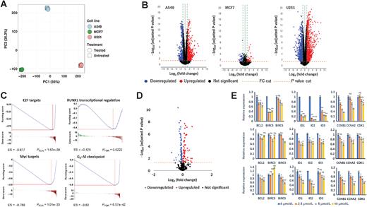 Figure 4. ST101 modifies transcriptional profiles and subverts oncogenic pathways in cancer cells. A, Principal component (PC) analysis plot showing gene expression diversity across cell lines and treatment condition. B, Volcano plots showing the effect of ST101 on gene expression in A549, MCF7, and U251 cells. Significantly differentially expressed genes represented as red (upregulated) or blue (downregulated) dots. A representative subsample of nonsignificant genes (black) is displayed. Vertical green and horizontal red lines represent the fold change and P value thresholds applied, respectively. C, Functional GSEA analysis of DEGs in A549 demonstrates examples of pathways impacted by ST101. D, Volcano plots showing the effect of ST101 on CEBPβ target gene expression in A549 cells, analyzed as in B. E, qRT-PCR analysis of CEBPβ target genes after ST101 exposure in U251, MCF7, and A54 cells (2.5–10 mmol/L) compared with vehicle. Data represents log2 normalized expression (2ΔΔCt) and SEM. Error bars are means ± SD for assays performed in quadruplicate (*, P < 0.05; **, P < 0.01; ns, not significant as determined by Student t test).