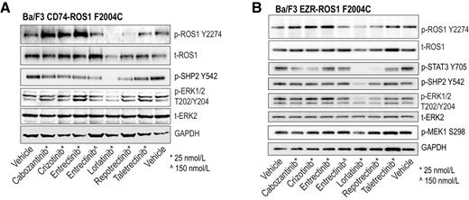 Resistance Profile and Structural Modeling of Next-Generation ROS1 ...