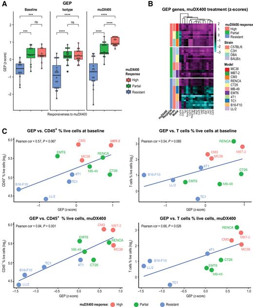 Figure 3. Immune-related murine-GEP signature associates with responsiveness to anti-PD-1 (muDX400) in syngeneic tumor models. RNA-sequencing analysis was performed on five independent tumors across 11 syngeneic tumor models after anti-PD-1 treatment. Tumors were harvested 4 days following two doses of muDX400 or muIgG1 control antibody (treatment administered on day 0 and day 4). Models were classified as resistant, partial, or high as previously defined. A, A 15-gene murine-GEP score, corresponding to the T-cellinfGEP signature (9), without the three HLA genes, was evaluated before and after muDX400 or after muIgG1 isotype control antibody treatment represented as mean z-score (of log2 FPKM values). Significance was determined by t test (NS, P > 0.05; *, P ≤ 0.05; **, P ≤ 0.01; ***, P ≤ 0.001; ****, P ≤ 0.0001). B, Heat map of the genes from the 15-gene murine-GEP score. The color gradient shows the z-score (of log2 FPKM values) of each gene (columns) across the mouse samples (rows) treated with muDX400. C, Correlation of murine-GEP and immune cell frequencies at baseline. The 15-gene murine-GEP scores (mean z-scores of the log2 FPKM values) at baseline or after muDX400 treatment are plotted against the percentage of CD45+ cells or T cells (of total live cells, at baseline) in each tumor model. FPKM, fragments per kilobase million; GEP, gene expression profile; HLA, human leukocyte antigen; muIgG1, mouse immunoglobulin G1; ns, not significant; PD-1, programmed death 1; T-cellinfGEP, T-cell-inflamed gene expression profile.