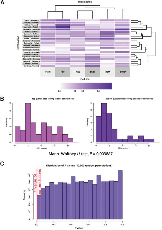 Figure 5. Experimental and predicted combinations. A, Clustered heatmap of Bliss synergy scores was experimentally measured for six cell lines treated with 21 two drug combinations. B, Histogram representing the EPS rankings of nodes of targets of drugs in the top 25% highest Bliss synergy scores, that is, “most synergistic” (left), or the EPS rankings of nodes of targets of drugs in the 25% lowest Bliss synergy scores, that is, “least synergistic,” (right). There is a significant bias toward higher EPS rankings for the most synergistic drug targets, with a significant Mann–Whitney U test P value of 0.0038875, indicating a biased distribution of rankings. C, Simulation of the Mann–Whitney U test P values obtained from 10,000-fold random permutations of EPS ranking, demonstrating the robustness of this P value.