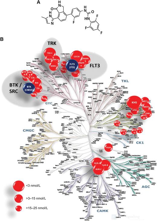 Figure 1. Structure of luxeptinib and pattern of its kinase inhibition. A, Structure of luxeptinib. B, Principle kinases inhibited by luxeptinib as determined from broad kinase screens.