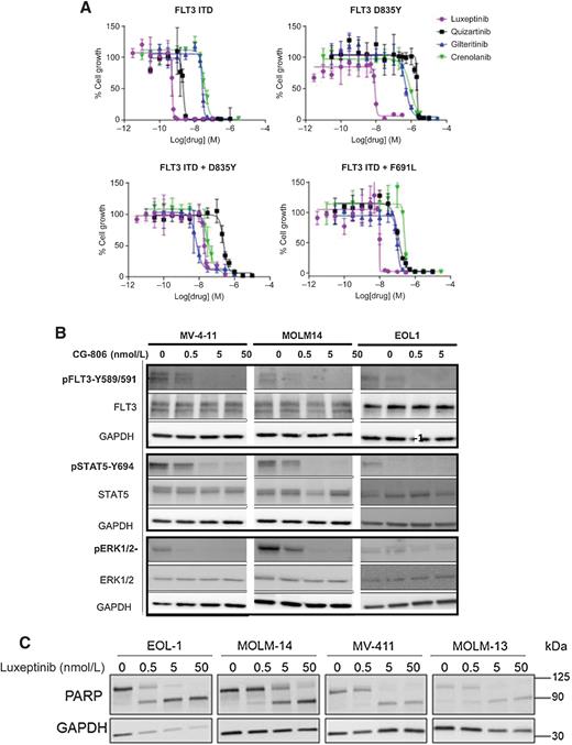 Figure 2. Activity of luxeptinib against FLT3-mutant myeloid cell lines. A, Growth inhibition curves for luxeptinib, quizartinib, gilteritinib, and crenolanib against FLT3-mutant AML cell lines. B, Western blot analysis documenting concentration-dependent inhibition FLT3 and bypass pathways known to contribute to FLT3 inhibitor resistance (representative image from 3 biological repeats). C, Documentation of the ability of luxeptinib to kill FLT3-ITD cells as evidenced by induction of PARP cleavage.