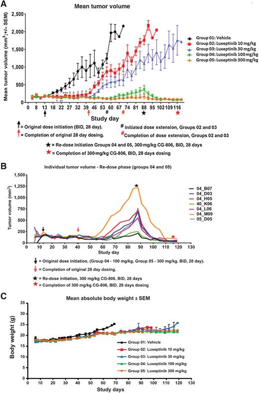 Figure 5. Activity of luxeptinib (CG-806) in myeloid xenograft models. A, Dose-related inhibition of the growth of MV4–11 SC xenografts by luxeptinib given orally continuously (10–300 mg/kg twice a day, 8 mice per group) on a 28-day cycle; B, Response of individual recurrent MV4–11 tumors to re-treatment on a 28-day cycle with luxeptinib at 300 mg/kg twice a day. C, Absolute body weight (mean ± SEM) of mice in each group over the 120-day study period.