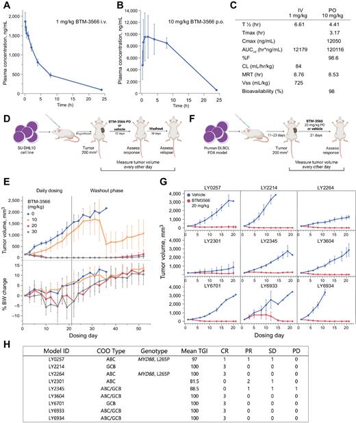 Figure 2. BTM-3566 has favorable pharmacokinetics and induces durable remissions in DLBCL-xenograft models. A, Plasma concentration of BTM-3566 after bolus intravenous administration of 1 mg/kg BTM-3566. N = 3 animals per condition. B, Plasma concentration of BTM-3566 after oral gavage dosing of 10 mg/kg BTM-3566. C, PK parameters for dosing of BTM-3566 in the mouse. D, Graphical representation of the Su-DHL-10 xenograft model: Cells were implanted subcutaneously in the flank of SCID beige (C.B-17/IcrHsd- Prkdc scidLystbg-J) mice and grown until tumor volume reached 200 mm3 prior to randomization into four groups. Mice were then dosed orally, once a day with vehicle or a solution of 10, 20, or 30 mg/kg BTM-3566 dissolved in 5%NMP/15% Solutol/10% PEG400/70% D5W. E, SU-DHL-10 xenograft model: top, tumor volume over time; bottom, body weight over time. The vertical line at day 21 represents the end of drug dosing. All data are the mean ± SD (n = 10 animals). F, Graphical representation of the DLBCL PDX-models: nine human DLBCL PDX tumors were established in SCID mice and grown for 11 to 23 days to reach 200 mm3 before randomization. All groups received drug or vehicle for 21 days. Treatment arms received BTM-3566, 20 mg/kg, orally, once a day. Tumor volume was measured and recorded every other day. G, Tumor growth curves over time in nine PDX models. All data represented as mean ± SD (n = 3 animals). • = Vehicle; • = BTM-3566. H, Tabulated results of PDX model testing. CR, complete response, no palpable tumor; PR, partial response, palpable tumor with volume >50% less than baseline; SD, stable disease, tumor volume is not increased above baseline; PD, progressing disease where tumor is larger than starting tumor volume.