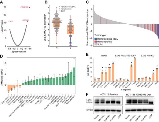 Figure 6. FAM210B mRNA expression is correlated with and regulates cellular response to BTM compounds. A, BTM-3528 activity was assessed in 406 solid and hematopoietic tumor cell lines. Gene expression was correlated to AUC across 284 cell lines that found with gene expression data in the CCLE database. The data are expressed as the Spearman correlation coefficient versus the −logP value for each gene. B, Log2 expression of FAM210B in cell lines denoted as responsive or not to BTM-3528 (n = 284). Cells were classified as responder (AUC > 3.25) or nonresponder (AUC < 3.25) ***, P < 0.001. • Solid tumor lines; • Hematopoietic tumor lines; • B-cell lymphoma (BCL) lines. C, Waterfall plot of FAM210B mRNA expression data for screened cell lines. Data are plotted by descending standardized FAM210B expression level. D, FAM210B gene expression levels in normal human blood cells. All data from BioGPS (http://ds.biogps.org/?dataset=BDS_00001&gene=116151). E, Parental, FAM210B-tGFP, or HRI−/− BJAB cells were tested for sensitivity to BTM-3528, BTM-3566, BTM-3532, bortezomib, and FCCP. Cell death was determined by Annexin and YOYO staining. F, OPA1 cleavage was determined in HCT-116 parental and FAM210B-tGFP cells following a 3-hour treatment with 3 μmol/L BTM compounds.
