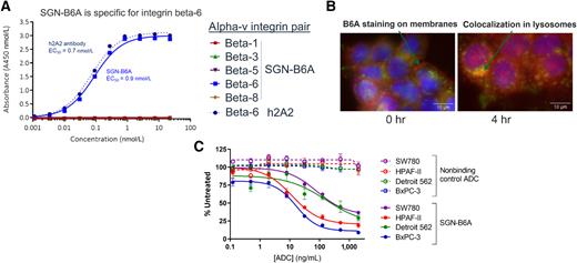 SGN-B6A: A New Vedotin Antibody–Drug Conjugate Directed to Integrin ...