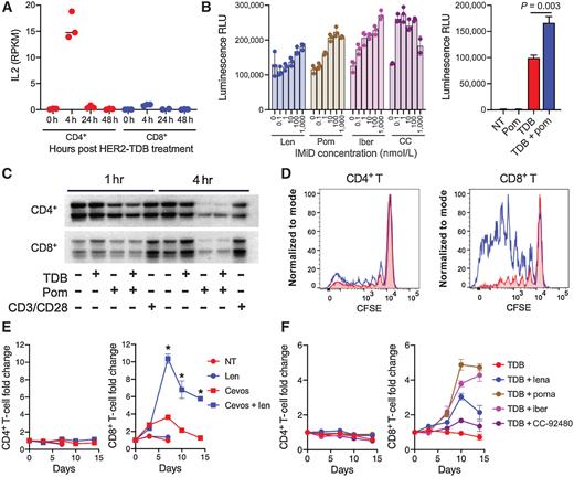 IMiDs Augment CD3-Bispecific Antibody–Induced CD8+ T-Cell Cytotoxicity ...