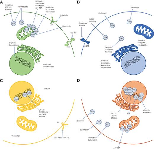 Figure 1. Preclinical data of effective drugs in TNBC that synergize in combination with (A) BH3-mimetics, (B) Src-inhibitors, (C) AURK-inhibitors, and (D) BET-inhibitors.