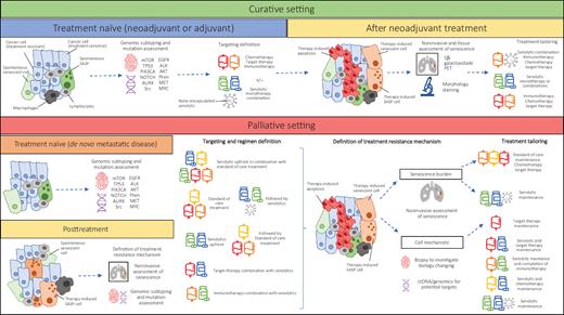 Figure 2. Future-proof options to investigate senescence targeting in TNBC by clinical trials in curative and palliative setting.