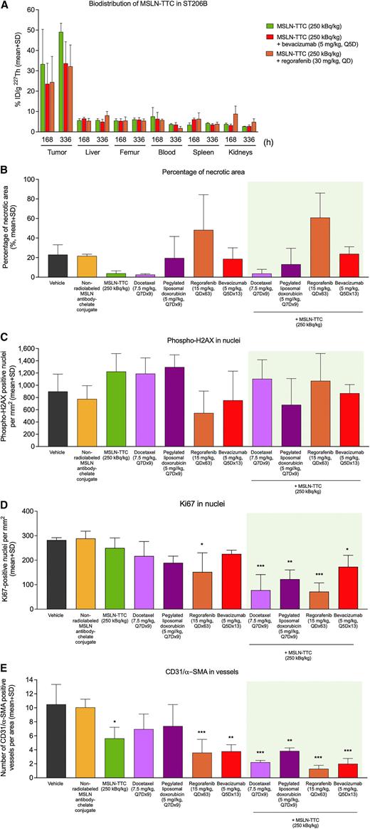 Figure 3. Biodistribution and mechanistic analyses on the effects of MSLN-TTC as monotherapy or in combination with chemotherapies in ST206B ovarian PDX tumors. Mechanistic analyses were conducted by IHC for necrosis, DNA damage, cell death and angiogenesis. A, Biodistribution of MSLN-TTC in tumor, blood, and selected organs 168 and 336 h after administration of MSLN-TTC in the human ovarian cancer PDX model ST206B. The mice were treated with MSLN-TTC (a single dose, 250 kBq/kg, i.v.) as monotherapy or in combination with the angiogenesis inhibitors regorafenib (30 mg/kg, QD, p.o.) or bevacizumab (5 mg/kg, Q5D, i.v.; n = 3/group). The values are presented as a percentage of remaining thorium-227 activity per injected gram of MSLN-TTC (ID%/g). B, Percentage of necrotic area as determined with Ki67 staining in ST206B tumor samples from mice treated with vehicle, non-radiolabeled MSLN antibody-chelate conjugate (a single dose, 0.43 mg/kg, i.v.), MSLN-TTC (a single dose, 250 kBq/kg, i.v.), docetaxel (7.5 mg/kg, Q7Dx9, i.v.), pegylated liposomal doxorubicin (5 mg/kg, Q7Dx9, i.v.), regorafenib (15 mg/kg, QDx63, p.o.), or bevacizumab (5 mg/kg, Q5Dx13, i.v.) as monotherapies or in combinations as indicated. Total antibody dose was 0.43 mg/kg. C, Nuclei positive for γH2AX in ST206B tumor samples from mice described in B. D, Ki67-positive nuclei in ST206B tumor samples from mice described in B. E, Number of CD31 and α-SMA positive vessels in ST206B tumor samples from mice described in B. Statistical analysis in A was performed using a linear model estimated with generalized least squares that included a common variance parameter for all study groups. Mean comparisons between the treatment and control groups were performed using the estimated model and corrected for family-wise error rate using Sidak method. No statistical significance was found. Statistical analysis in B–E was performed using ANOVA and Dunnett's test. *, P < 0.05; **, P < 0.01; ***, P < 0.001 in comparison to vehicle.